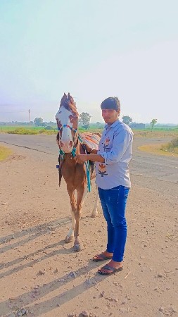 थंबनेल 2