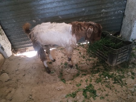 थंबनेल 2