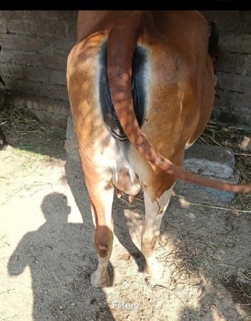 थंबनेल 2