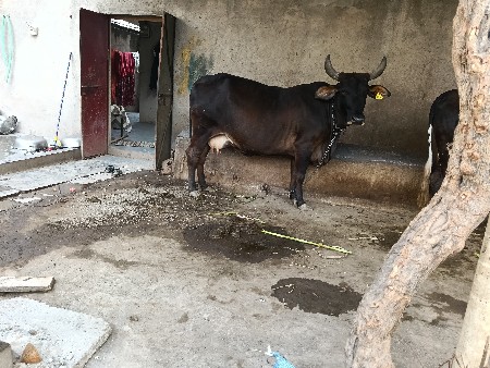 थंबनेल 2