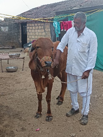 थंबनेल 3