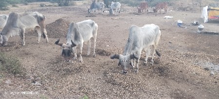 थंबनेल 3