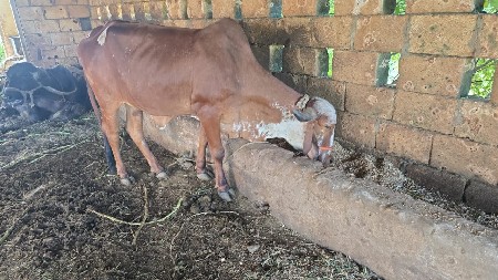 थंबनेल 3