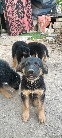 थंबनेल 3