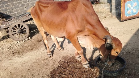 थंबनेल 2