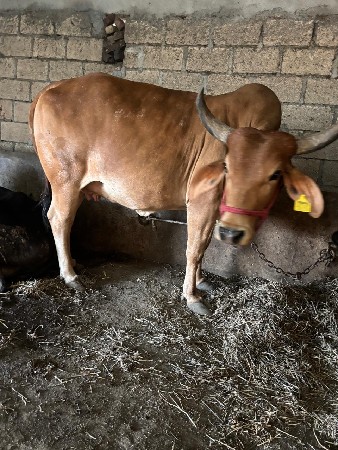 थंबनेल 2