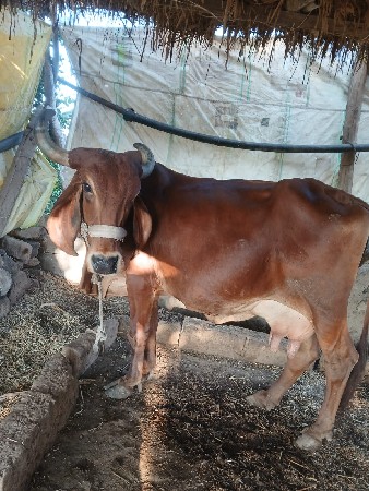 थंबनेल 2