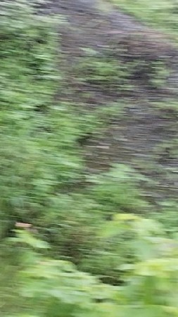 તાલુકો જામજોધપુર ગામ બાલવા છે