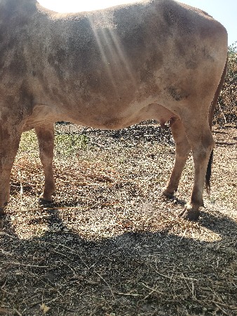 थंबनेल 3