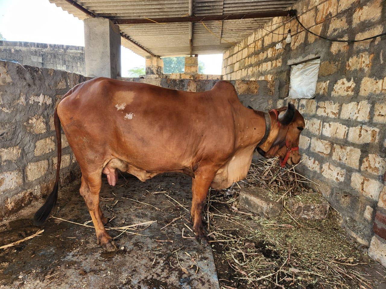 थंबनेल 4