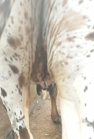 थंबनेल 3