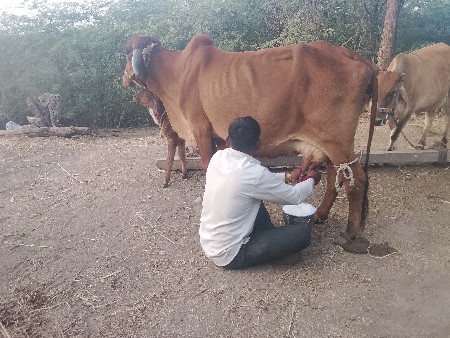 थंबनेल 2