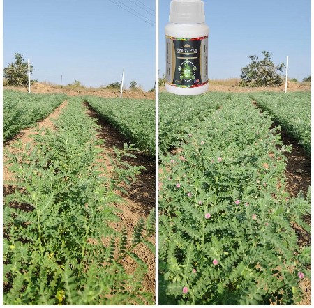 સગમરસીબલ પમ્પ મોટર