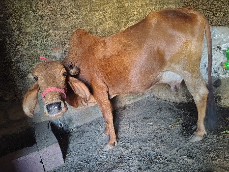 थंबनेल 2