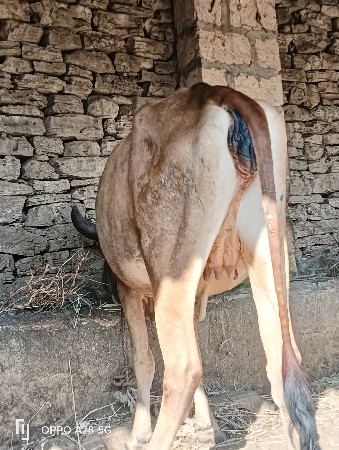 थंबनेल 6