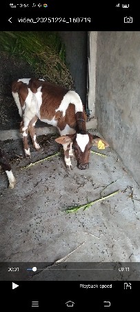 થંબનેલ 3