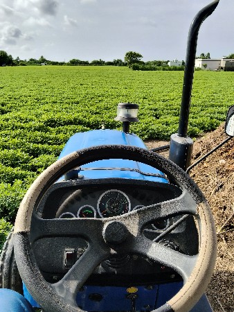 थंबनेल 3