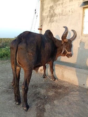 थंबनेल 3