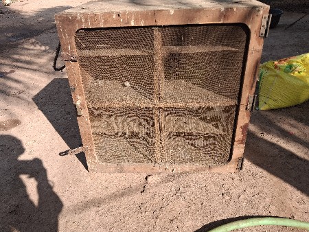 थंबनेल 2