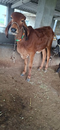 थंबनेल 2