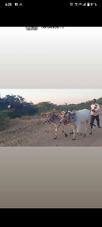 વેચવાના છે