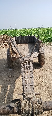 વિજય ભાઇ વાઢેર