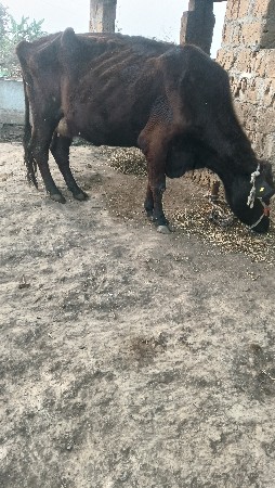 थंबनेल 3