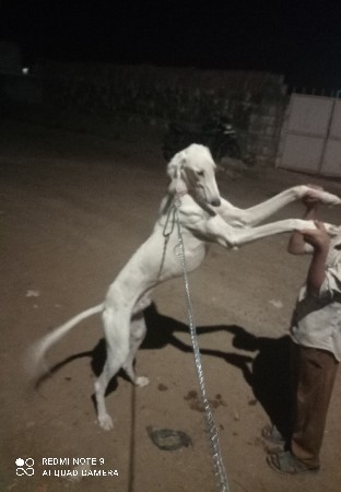 થંબનેલ 3