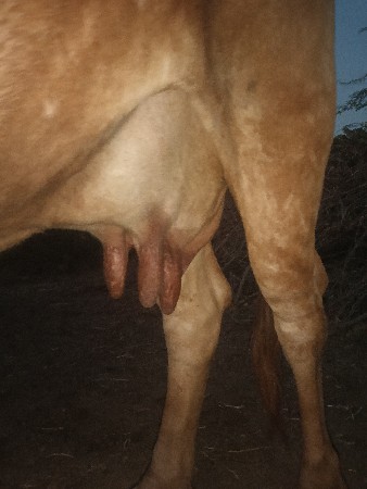 थंबनेल 2