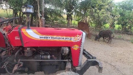 ૨૪૧,મેસી