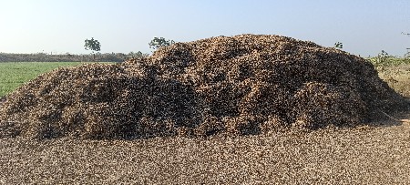 magfali no bhuko vechvano che