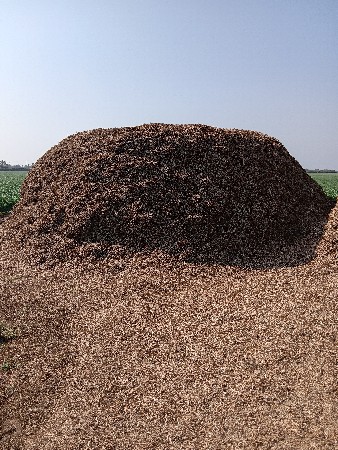 mandavi no bhuko
