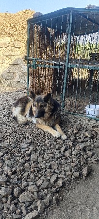 थंबनेल 3