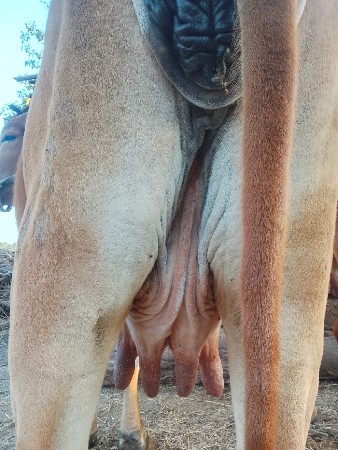 અશોક વાઘેલા 63594 56૨58