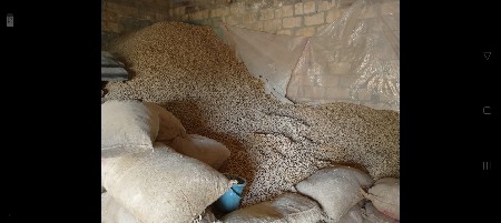 કોરી માંડવી 23 નબર છે સારી