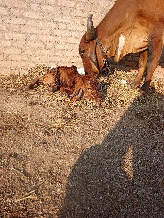 थंबनेल 2