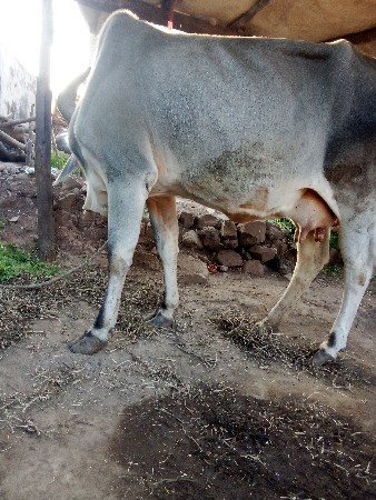 थंबनेल 3