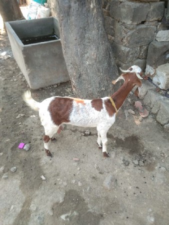 थंबनेल 3