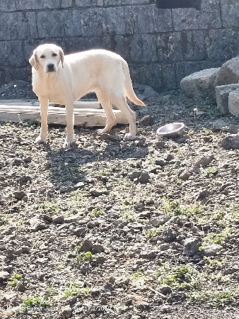 વેચવાનું છે