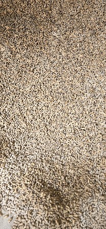 વેનોક્ષ 77 બિયારણ વેચવા નું છે