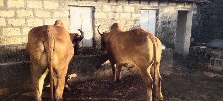 થંબનેલ 3