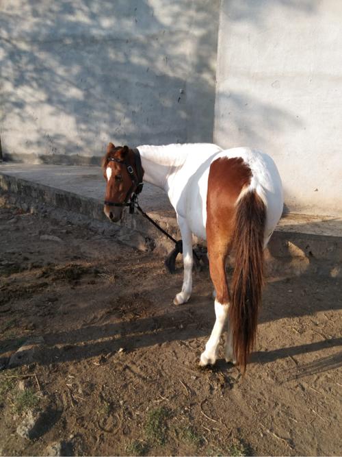 थंबनेल 3