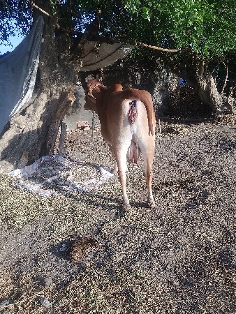 थंबनेल 3