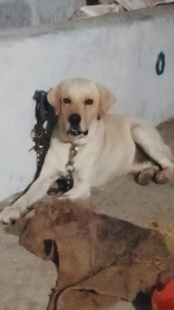 થંબનેલ 2