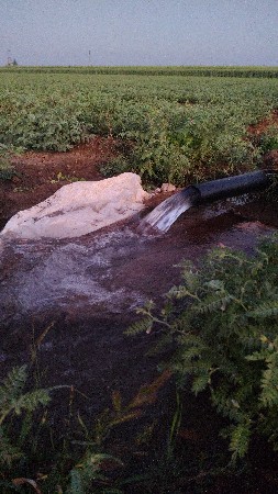 motar ne bambo vesvanose