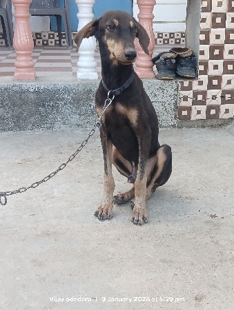 थंबनेल 2