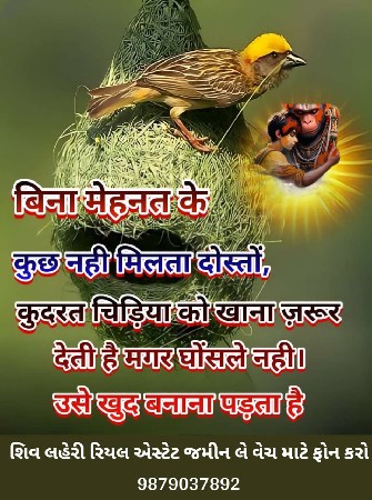 *જમીન લે વેચ માટે સંપર્ક કરો