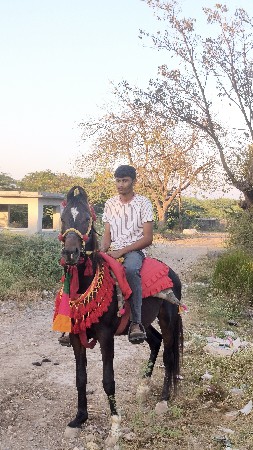 थंबनेल 3