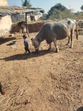 थंबनेल 2