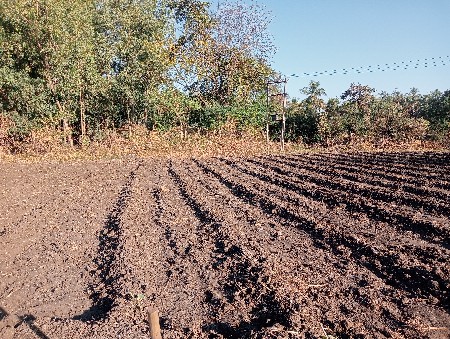 અખાટ આપવાની છે